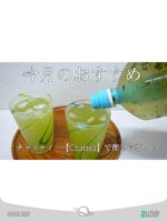 فیلتر دتوکس مدل Chattea ژاپنی Japanese Chattea model detox filter - Image 4