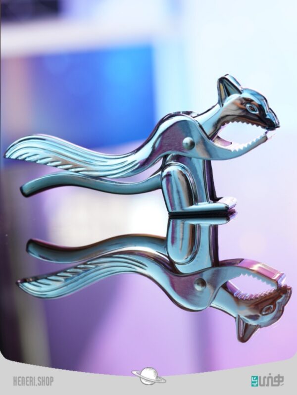 سنجاب گردوشکن Squirrel nutcracker - Image 7