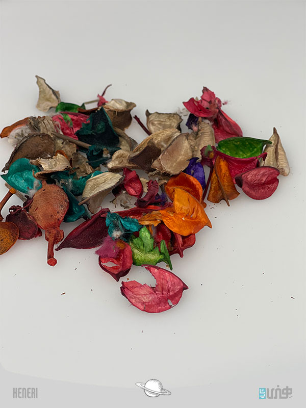 12192499 گل خشک رنگی Colored dried flowers - Image 1