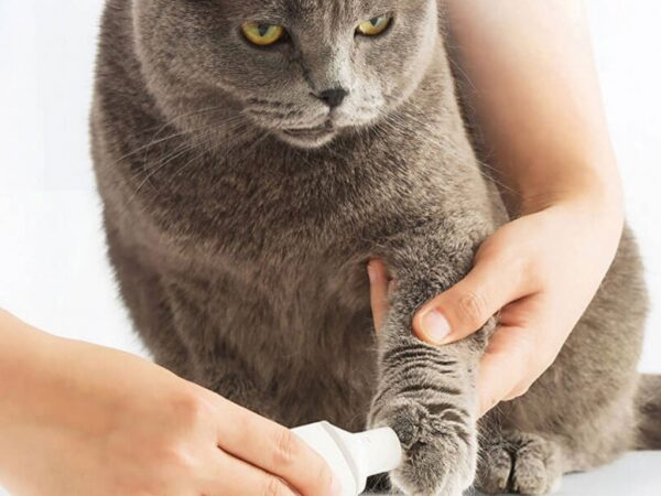 سوهان ناخن حیوانات خانگی شیائومی Xiaomi Pawbby Electric Pet Nail Grinder MG-NG001A - تصویر 7